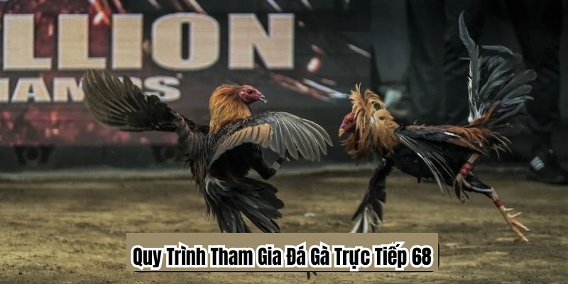 Đá Gà Trực Tiếp 68: Khái Niệm và Sự Phát Triển